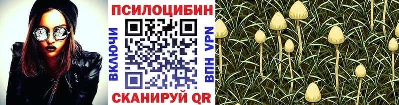 Псилоцибиновые грибы Psilocybine cubensis  Любим 